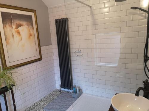 a bathroom with a shower with a black radiator at Cosy Town House in Belfast