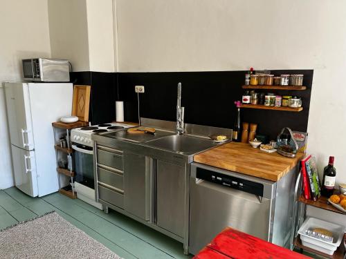a kitchen with a sink and a refrigerator at Grüne Villa in Bad Brambach