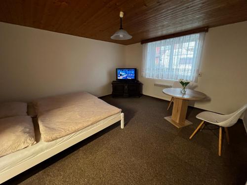 a bedroom with a bed and a table and a tv at Květinová in Litoměřice