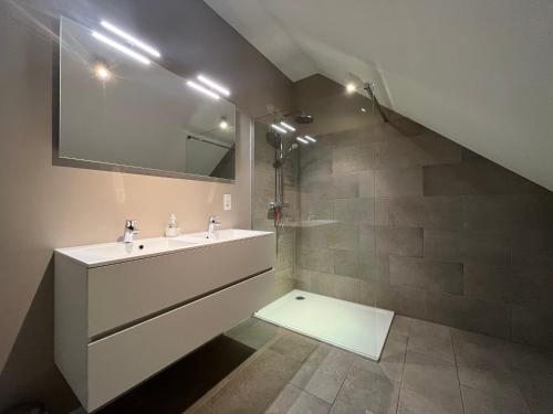 a bathroom with a sink and a mirror at Bolderhuys in Bolderberg