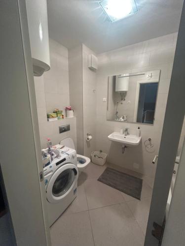 a bathroom with a washing machine and a sink at Central Garden modern 1 bedroom condominium complex in Belgrade