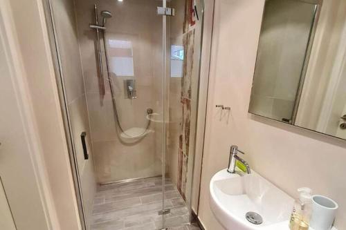 a bathroom with a shower and a sink at Haus am Merr auf Fehmarn OT Westerbergen in Albertsdorf