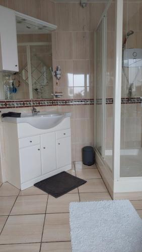 uma casa de banho com um lavatório branco e um chuveiro em Knockrobin Cottage em Wicklow