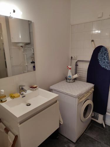 une salle de bain avec un lavabo et une machine à laver dans l'établissement T2 calme logement entier 45 m² sur Debourg/Gerland, à Lyon