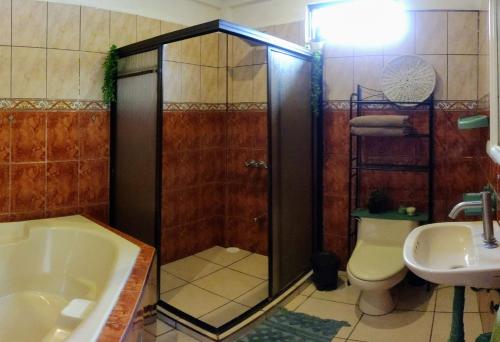 a bathroom with a shower and a toilet and a sink at Cool Vibes Beach Hostel in Dominical