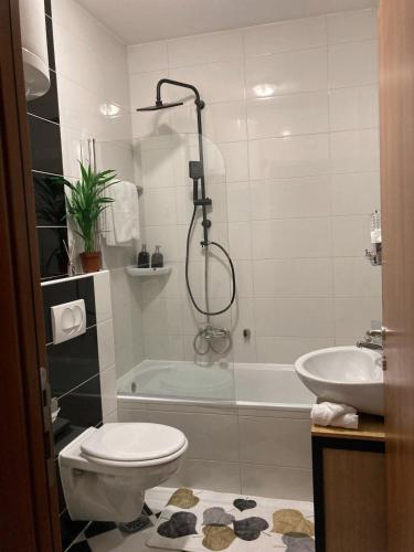 a bathroom with a shower and a toilet and a sink at Alacaster apartment with PRIVATE PARKING in Novi Sad