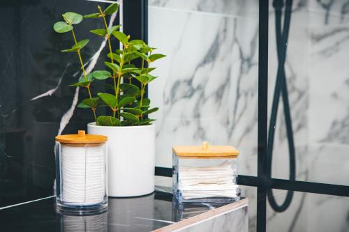 a table with two stacks of paper and a plant at Forest Oasis Guest House FREE PARKING in Sapareva Banya