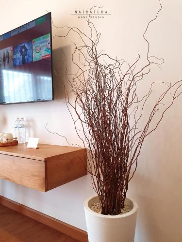 Μια τηλεόραση ή/και κέντρο ψυχαγωγίας στο NatRatcha Home Studio