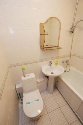 y baño con aseo, lavabo y espejo. en Мельбурн, en Petropavlovsk