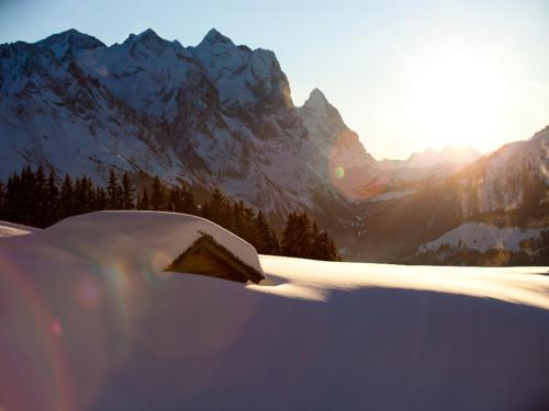 a car covered in snow with mountains in the background at Victoria - Alpine Boutique Hotel & Fine Dining in Meiringen