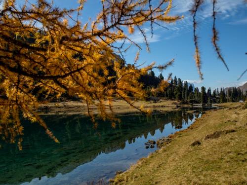 a view of a river with trees in the background at Victoria - Alpine Boutique Hotel & Fine Dining in Meiringen