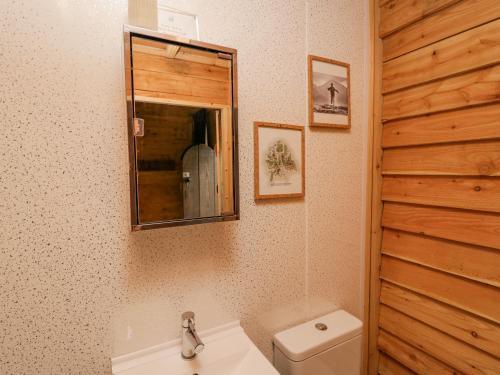 y baño con lavabo, aseo y espejo. en Dog Crag Cabin, en Millom