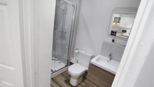 a bathroom with a shower and a toilet and a sink at Oakland Road, Mumbles in The Mumbles