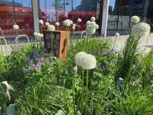 a garden with white plants and flowers in front of a building at Stylish 3 bedroom apartment in historic city centre building in Sheffield