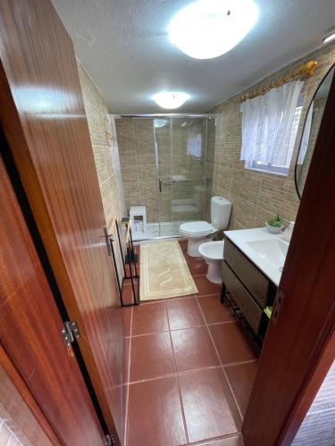 a bathroom with a shower and a toilet and a sink at Casa do Terreiro in São João de Tarouca