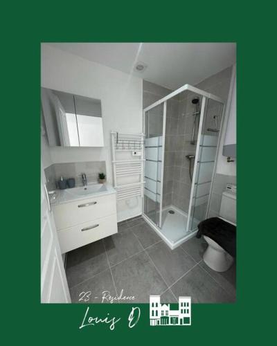 une salle de bain avec une douche, un lavabo et des toilettes dans l'établissement T2 pour 4 Personnes --8, à Béthune