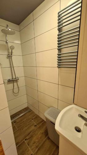 a bathroom with a sink and a shower at Zakątek u Poety Dąbrówka in Jasło