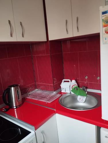 a kitchen counter with a sink and red tiles at A&D in Reşiţa