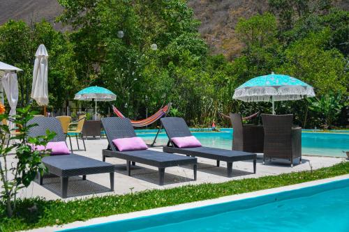 un grupo de sillas y sombrillas junto a una piscina en Zoila's Suite Escape, en Nuevo Tingo
