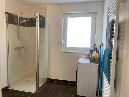 La salle de bains est pourvue d'une douche avec un rideau de douche en verre. dans l'établissement Strasbourg appartement moderne, à Strasbourg