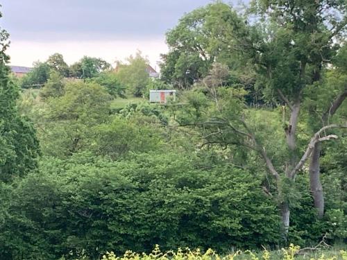 a white shed in the midst of trees at The Dragon's Hut with cosy logburner in Wrexham