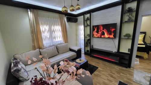 uma sala de estar com um sofá e uma lareira em Apartman POSEJDON DELUXE 2 em Vrnjačka Banja