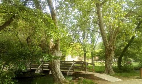 a wooden bench in a park with trees at Location Saisonnière Villa in Uzès
