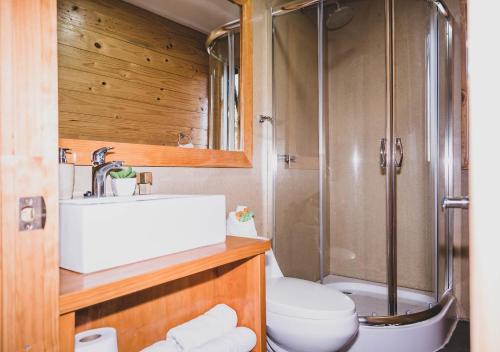 a bathroom with a shower and a toilet and a sink at Hotel Puerto Madera by DOT Boutique in Pelluhue