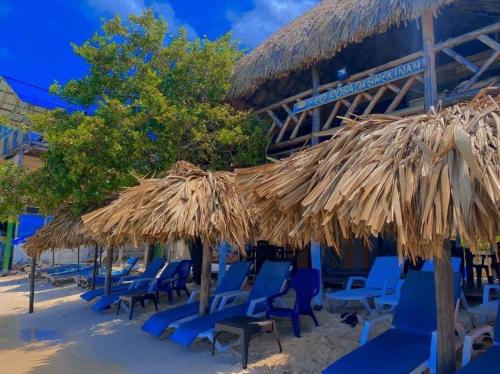 Imagen de la galería de Posada Shekinah Barú, en Playa Blanca