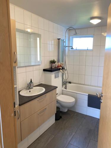 a bathroom with a sink and a toilet and a tub at Luxus apartment Byggdarhorn in Selfoss
