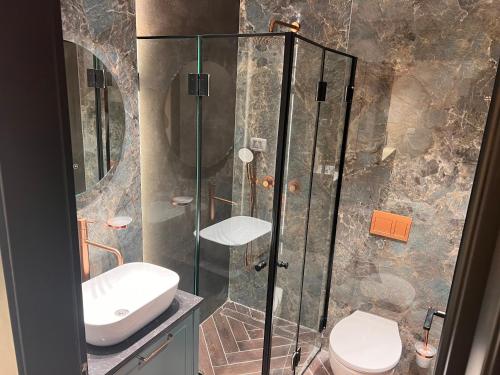 a bathroom with a shower with a toilet and a sink at PALACE of the Dead Sea by CROWN Exclusive in Neve Zohar