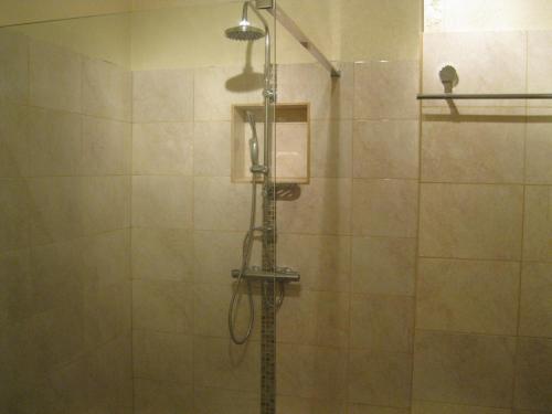 eine Dusche mit Duschkopf im Bad in der Unterkunft La Metairie des Ducs in Sainte-Colombe-de-Duras