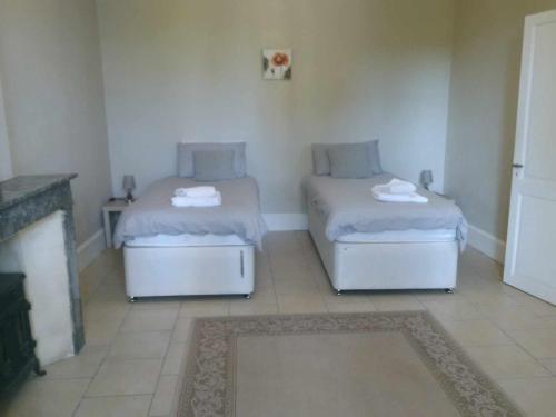 2 Betten in einem Zimmer mit Kamin in der Unterkunft La Metairie des Ducs in Sainte-Colombe-de-Duras