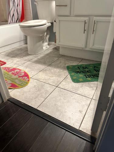baño con aseo y 2 alfombras en el suelo en Green house, en Tecopa