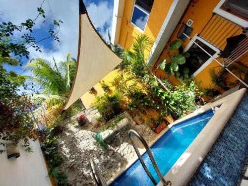 a swimming pool in front of a house with plants at 4 Habitación Cozumel in Cozumel
