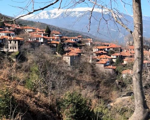 a group of houses on a hill with a mountain at Villa Tzeni Palios Panteleimon in Panteleímon
