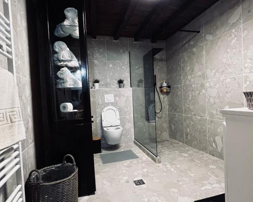 a bathroom with a toilet and a glass shower at Villa Tzeni Palios Panteleimon in Panteleímon