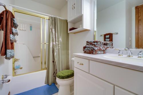 een badkamer met een wastafel, een toilet en een douche bij Pet-Friendly Shirley Pool House with Smart TV! in Fairfield Bay