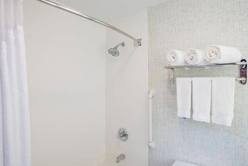 a bathroom with a shower with towels on a shelf at Holiday Inn Express Hotel & Suites Boston - Marlboro by IHG in Hudson