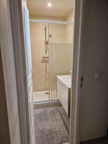 La salle de bains est pourvue d'une douche et d'un lavabo blanc. dans l'établissement Bel appartement à deux minutes du vieux port, à La Ciotat
