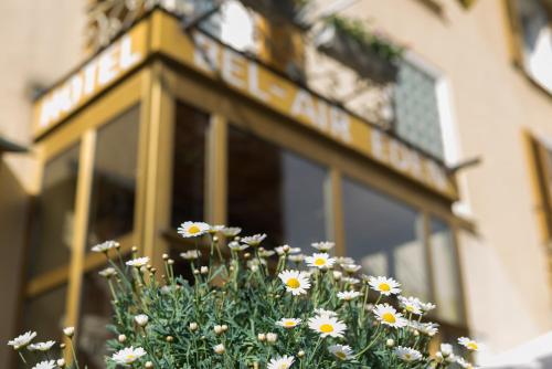 un vaso pieno di fiori di fronte a un edificio di Bel-Air Eden a Grindelwald