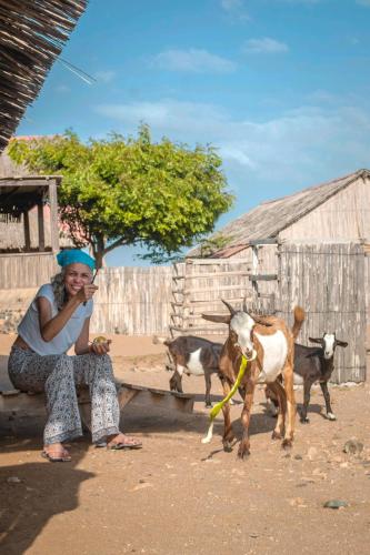 Fotografie z fotogalerie ubytování Rancheria Utta v destinaci Cabo de la Vela