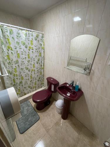 un bagno con un lavandino viola e una doccia di Hotel Hambyll,,,,,,,,,,,,,,,,,,,, a Diego de Almagro