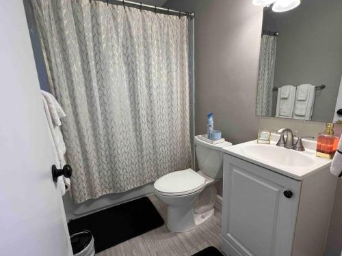 La salle de bains est pourvue de toilettes, d'un lavabo et d'un rideau de douche. dans l'établissement Oasis Of Maple Grove, à Maple Grove