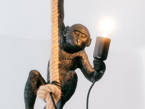 amonkey hanging on a rope with a light at Grüne Wohnoase - stilvoll - Balkonidylle - Zentrum in Neuwied