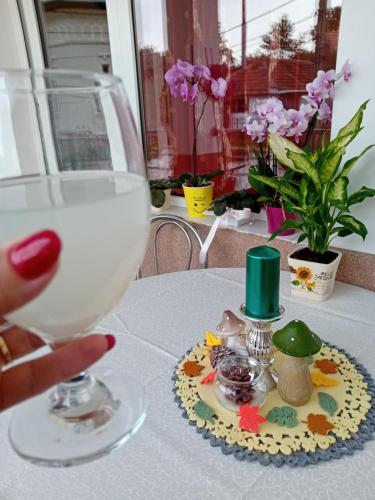 una persona che tiene un bicchiere di vino su un tavolo di Casa Dănuț a Reşiţa