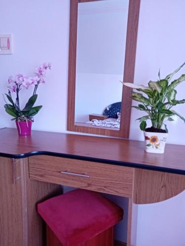 una scrivania in legno con specchio e 2 piante di Casa Dănuț a Reşiţa
