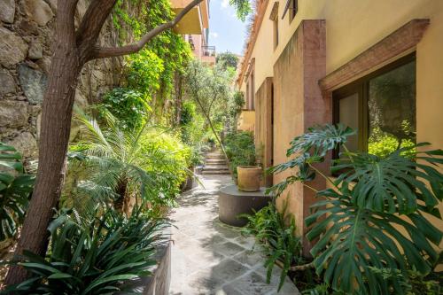 Κήπος έξω από το Angelic Centro 2BR, Pool & Jacuzzi, Gated Village