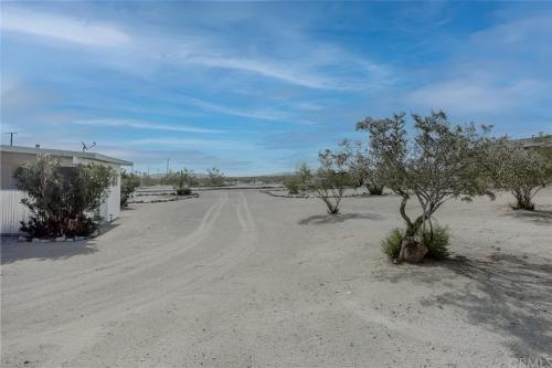 a dirt road in the middle of the desert at View Joshua Tree from the Desert D-LUX in Twentynine Palms