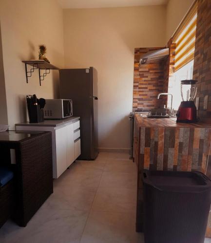 a small kitchen with a refrigerator and a counter at ESTUDIO 21 in Barra de Navidad